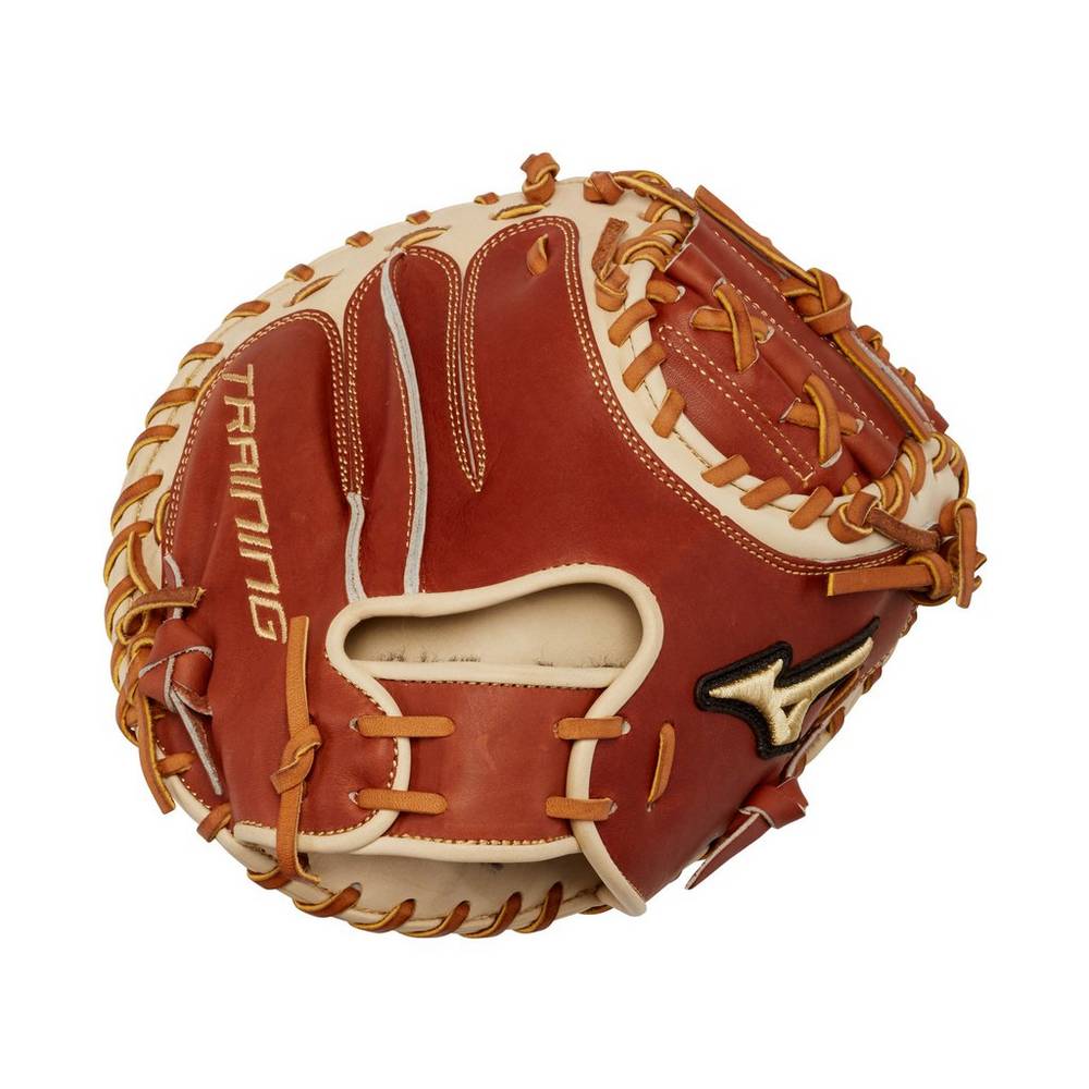 Panske Catchers Mitt Mizuno Pro Select Training 31" Baseball Hnede Vypredaj ZVKS01437